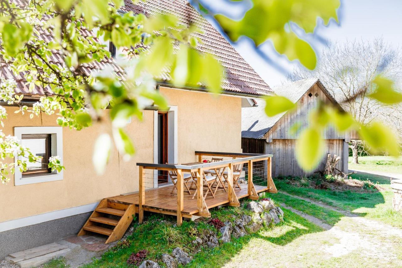 Mama Mia Apartments Radovljica Exteriör bild